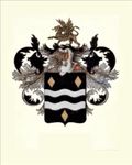 Van Kats Coat of Arms-02 (enhanced, no edge, blank name, solid to edge 16x20).jpg