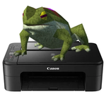 frogontheprinter