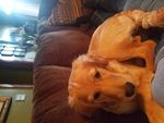 20201121_141026.jpg