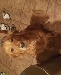 20180713_214538.jpg