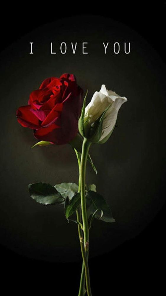Standing Rose.jpeg