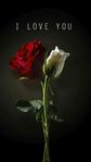 Standing Rose.jpeg