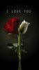 Standing Rose.jpeg