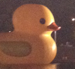 Rubber Duck Copy.png