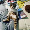 FB_IMG_1612769701814.jpg
