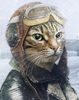 Cat pilot.jpg