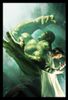 quadro-incrivel-hulk-marvel-hq-arte-de-alex-ross-D_NQ_NP_853956-MLB27481424219_062018-F.jpg