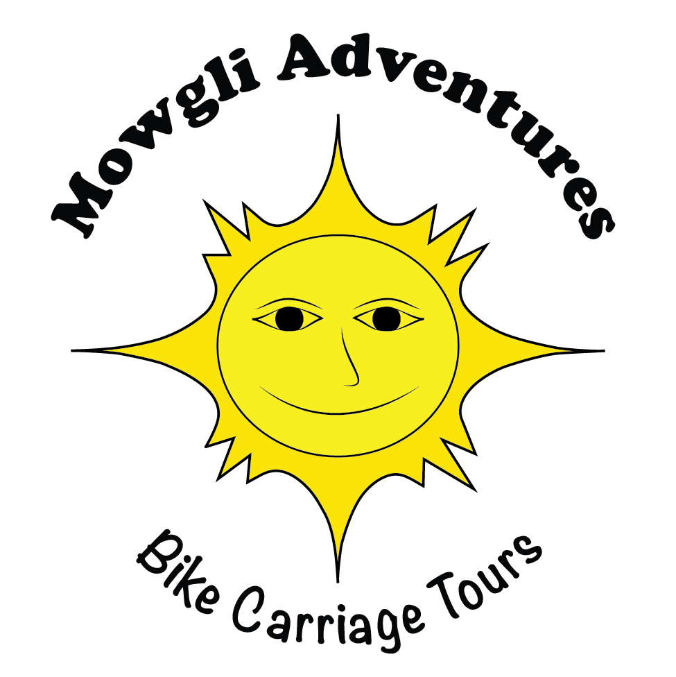 MowgliAdv_profile logo_1-04.png