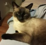 FB_IMG_1616168628665.jpg