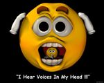 I Hear Voices In My Head!!!.jpg