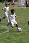 IMG_1377.JPG