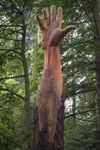 tree-hand-sculpture 2.jpg