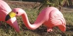 Profile (Yardsalebtoker)