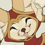 Profile (Fennec)