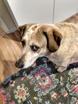 Profile (puredeming)