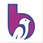 Profile (20birdz)