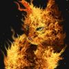 FireCat250.square.jpg