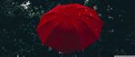 woman_red_umbrella_rain-wallpaper-2560x1080.jpg