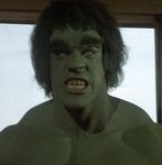 Incredible-Hulk-David-Banner-TV-Series-Bixby-Ferrigno-2-b.jpg