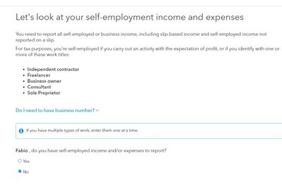 self employment income.JPG