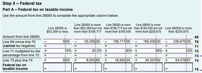 Federal tax Line 73 75.jpg