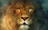 Lion_Aslan_05_1001x626.jpg