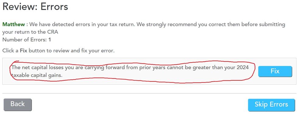 Net Capital Losses Error #3.jpg