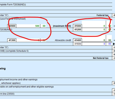 T1 General error showing missing credit.png