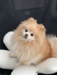 Profile (LisaW4)