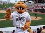 FangWisconsinTimberRattlersMascot.jpg
