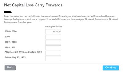 Net Capital Losses #1.jpg