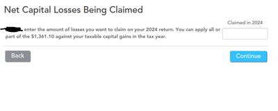 Net Capital Losses #2.jpg