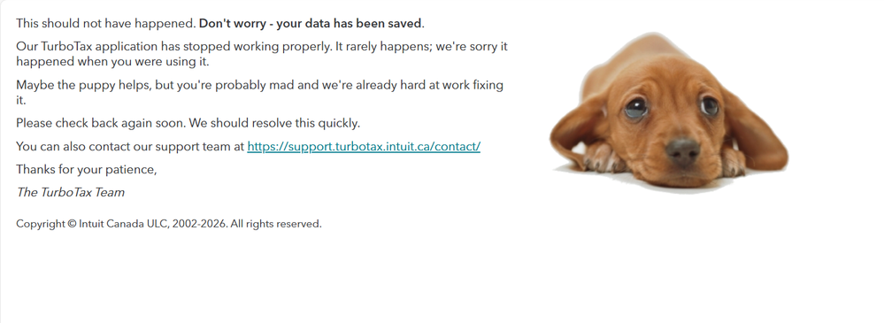 turbotax error.png