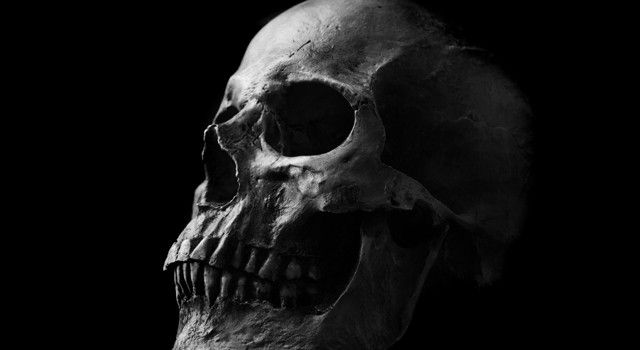 human-skull-crop.jpg